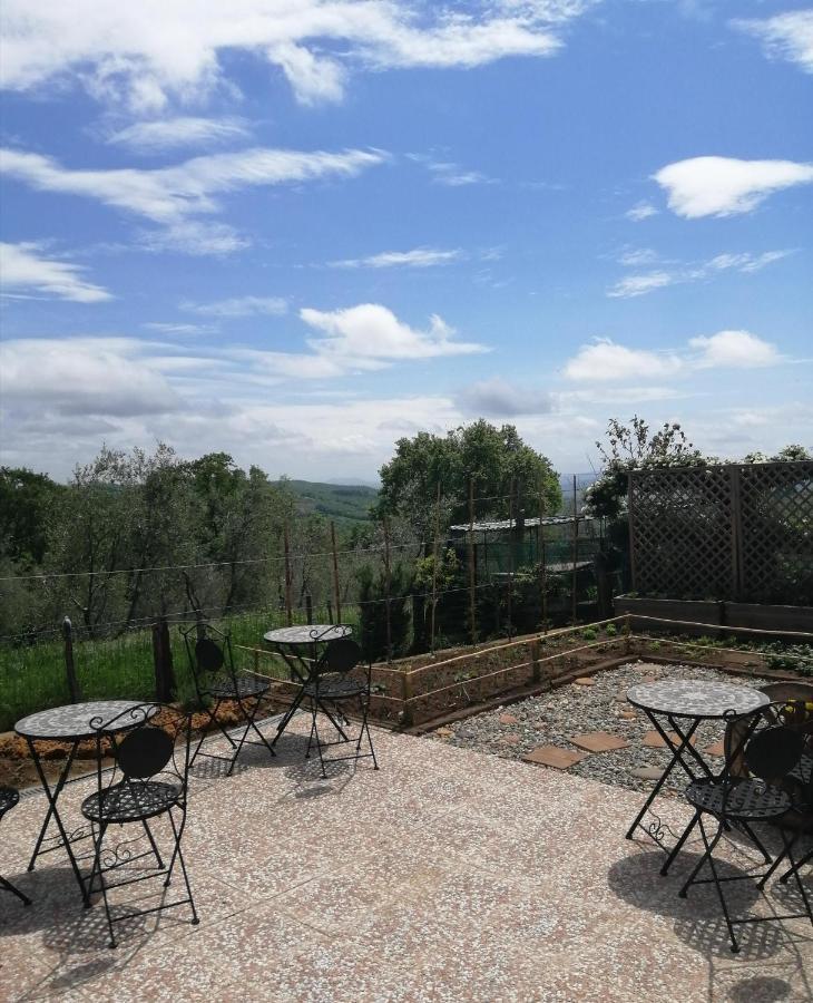 Maremma's Dream *