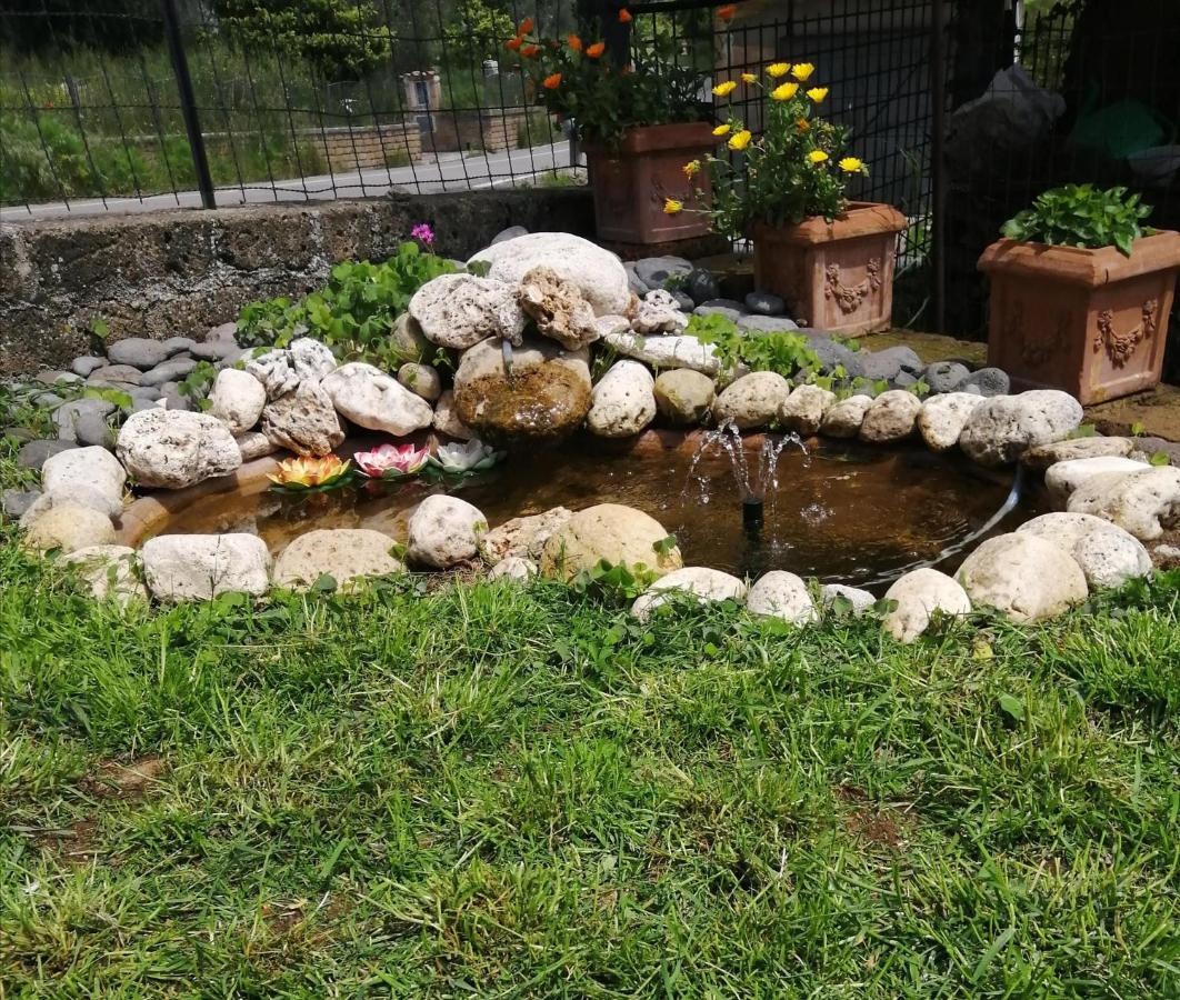 Bed & Breakfast Maremma's Dream Catabbio