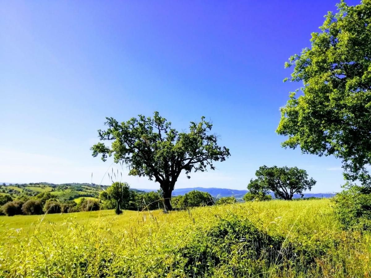 Maremma's Dream * Catabbio