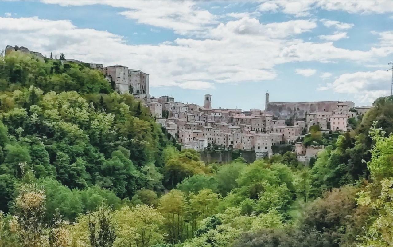 Maremma's Dream *