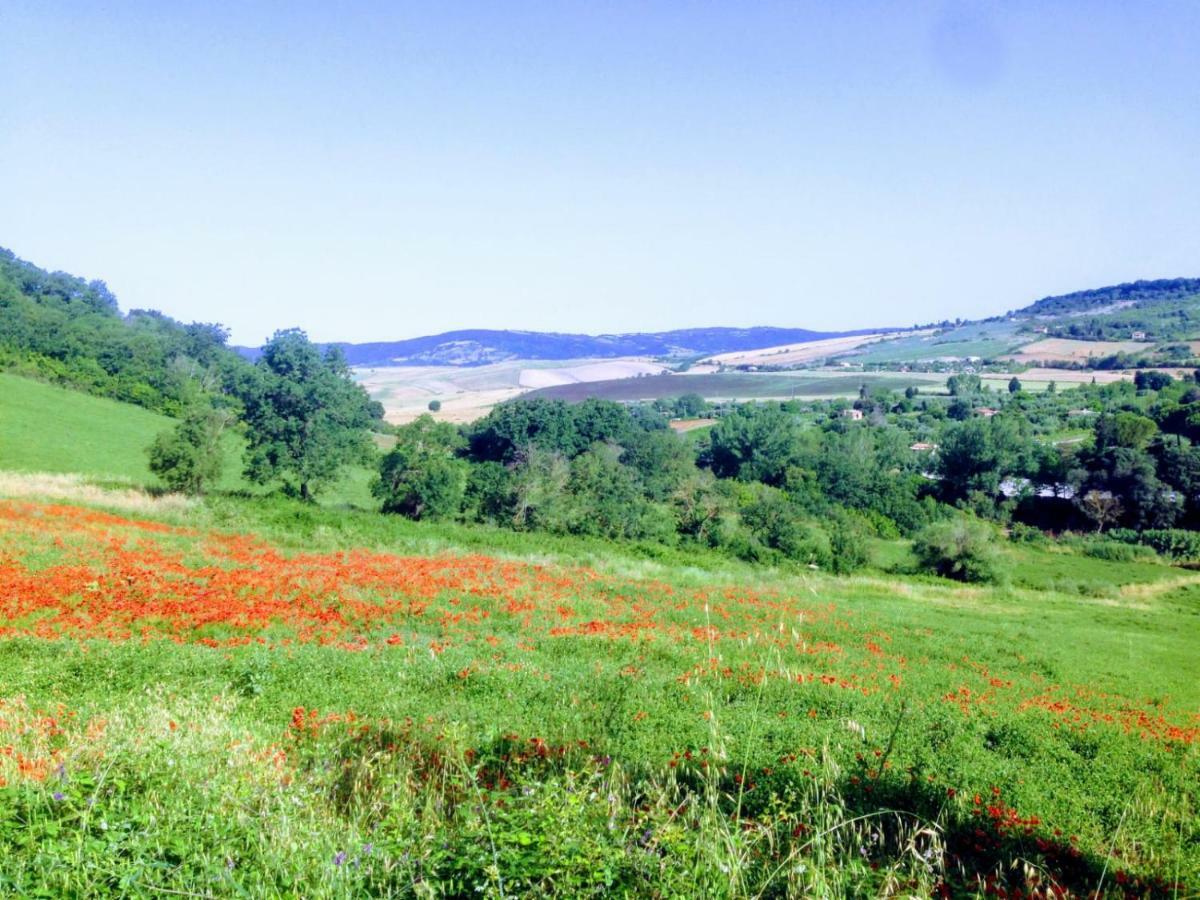 Bed & Breakfast Maremma's Dream *