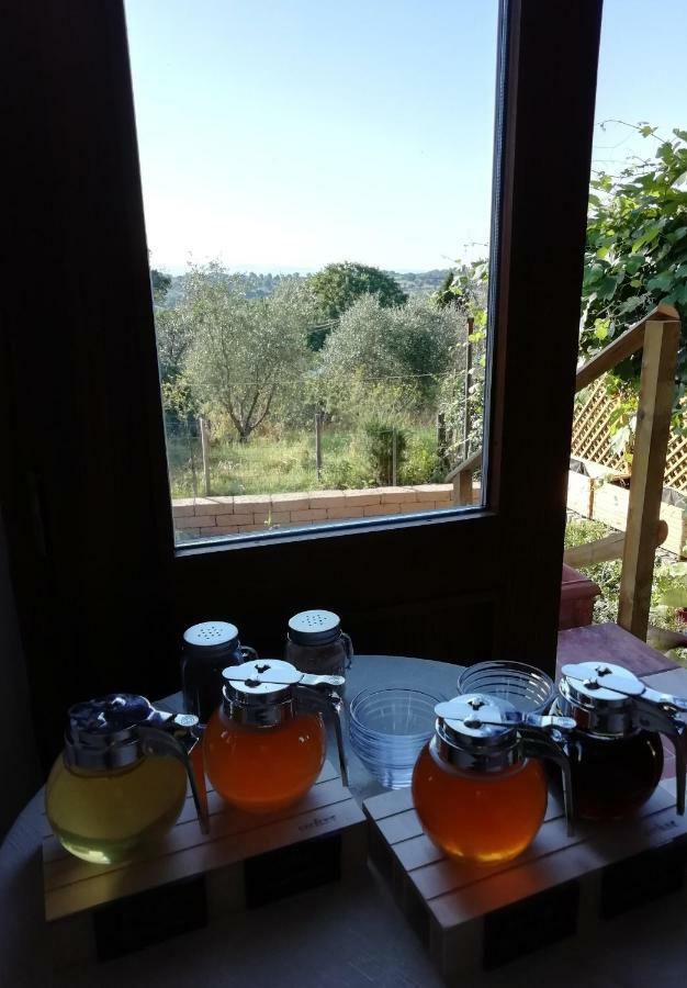 Bed & Breakfast Maremma's Dream *