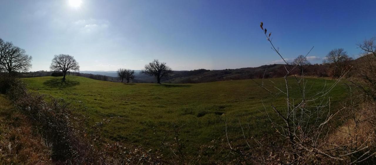 Maremma's Dream Catabbio