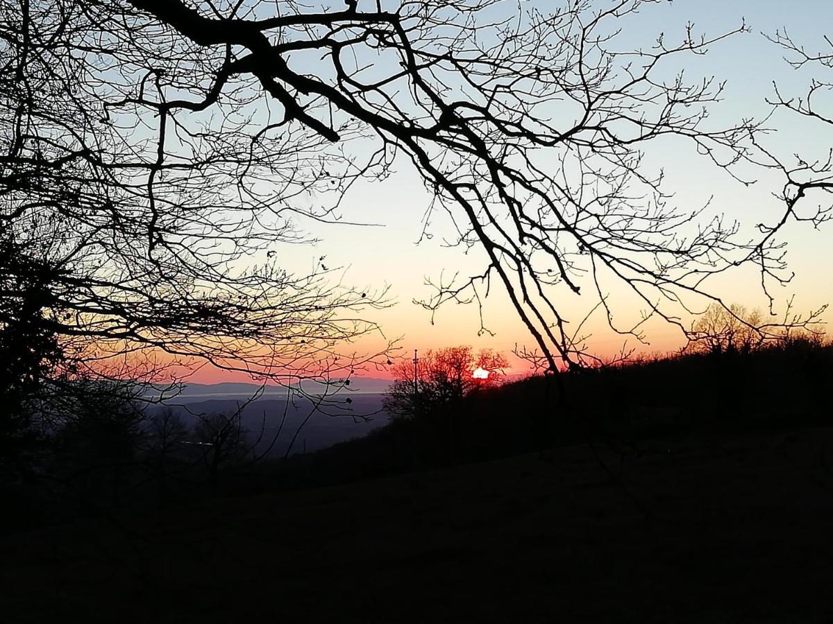 Bed & Breakfast Maremma's Dream